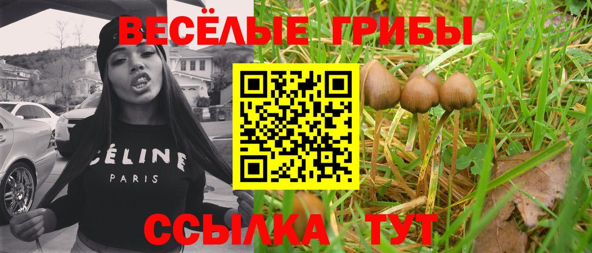 Россия  Псилоцибиновые грибы прущие грибы  Вход с VPN 