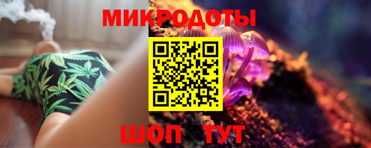 Псилоцибиновые грибы прущие грибы Россия